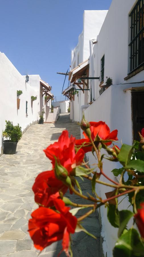 Casas El Molino Βίλα Vejer de la Frontera Εξωτερικό φωτογραφία