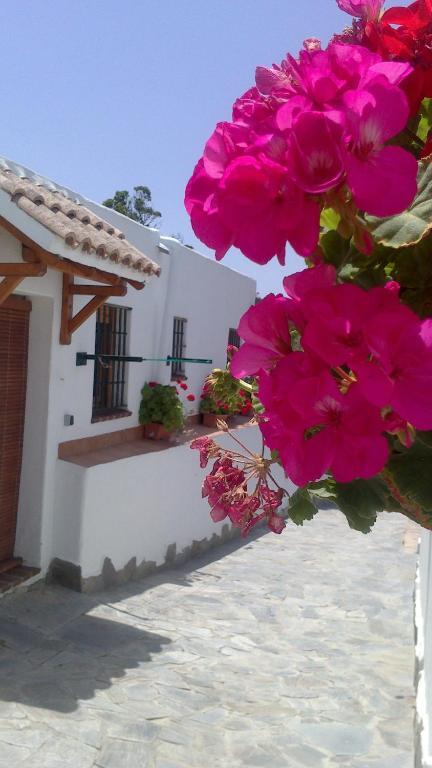 Casas El Molino Βίλα Vejer de la Frontera Δωμάτιο φωτογραφία